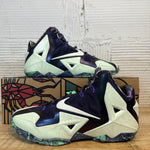 Nike LeBron 11 NOLA Gumbo League Gator King Sz 10.5