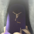 Air Jordan 3 Dark Iris Sz 10