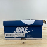 Air Jordan 1 Retro High OG True Blue Sz 9