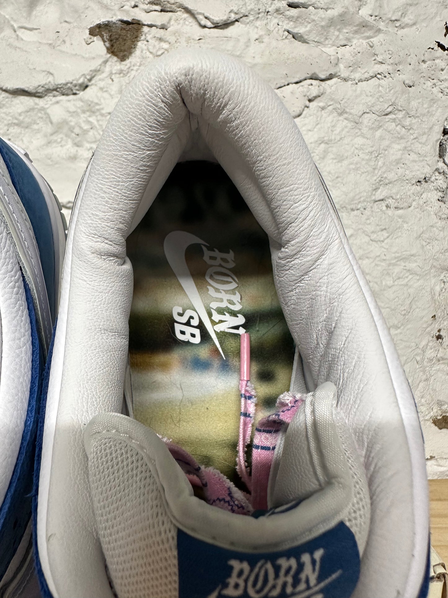 Nike SB Dunk Low Born Raised Sz 14