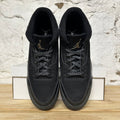 Air Jordan 3 Black Cat (2025) Sz 12