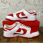 Nike Dunk Low Chamoionship Red Sz 11.5 DS